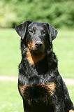 BEAUCERON 849